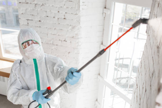 Best Mold Remediation for Healthcare Facilities  in USA